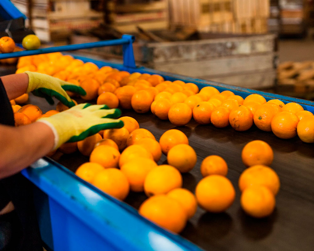naranjas